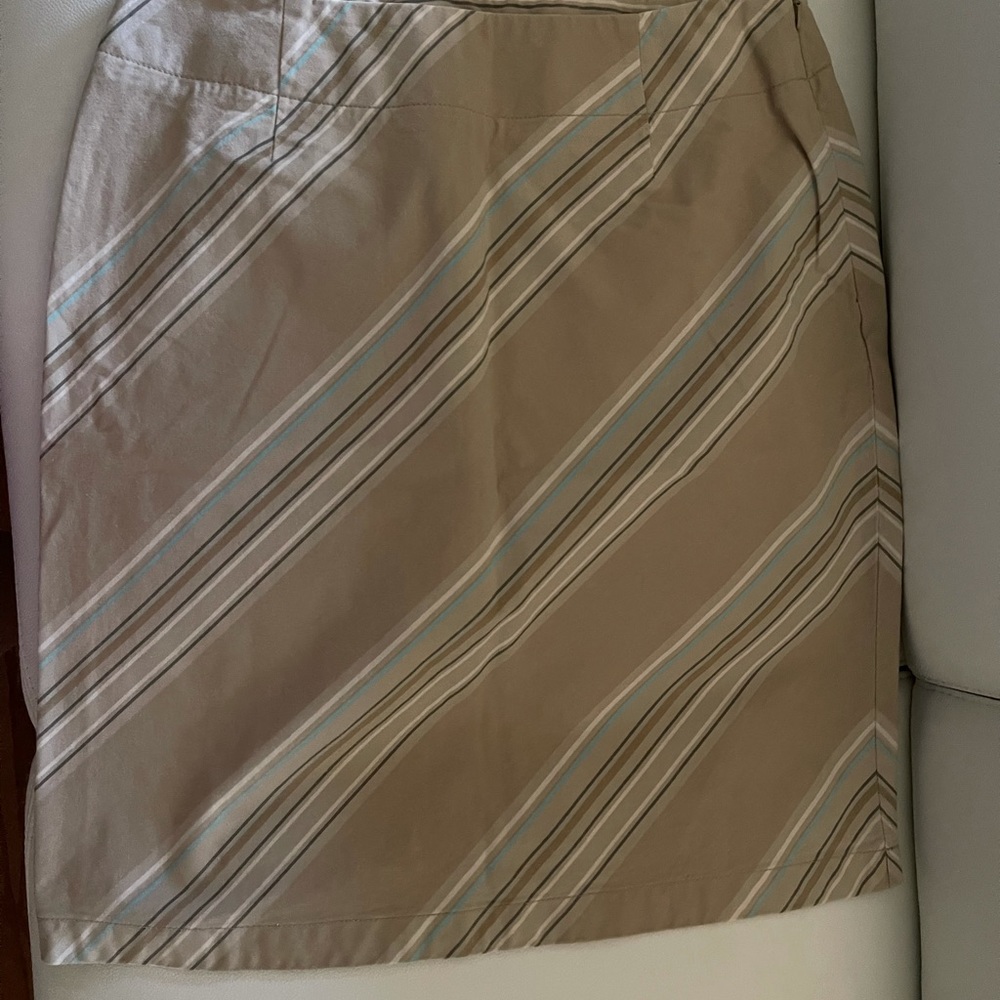 Ladies skirt